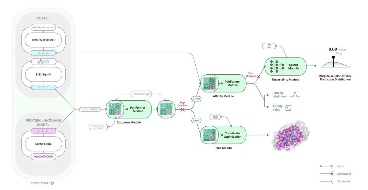 BiologyAIDaily's tweet photo. TerraBind: Fast and Accurate Binding Affinity Prediction through Coarse Structural Representations

1. TerraBind achieves 26-fold faster inference than state-of-the-art methods like Boltz-2 while improving binding affinity prediction accuracy by approximately 20%, addressing a critical computational bottleneck in structure-based drug design.

2. The core innovation challenges the prevailing assumption that full all-atom diffusion is necessary for accurate predictions. Instead, TerraBind uses a coarse pocket-level representation with only protein Cβ atoms and ligand heavy atoms, eliminating expensive generative modeling.

3. The architecture combines frozen pretrained encoders—COATI-3 for molecular representations and ESM-2 for protein sequences—with a lean 48-layer pairformer trunk of just 27M parameters, compared to Boltz-2's 509M parameters.

4. For pose generation, TerraBind employs a diffusion-free optimization module that produces 3D coordinates in under 0.2 seconds, matching diffusion-based baselines on FoldBench, PoseBusters, and Runs N'Poses benchmarks.

5. The binding affinity module operates directly on structural pairformer representations without requiring coordinate generation, outperforming Boltz-2 on 15 of 18 proprietary drug discovery targets and achieving superior Pearson correlation on CASP16.

6. A built-in uncertainty quantification system uses pairwise distance entropy as a zero-shot confidence metric, validated to correlate with both pose accuracy and binding strength without separate training.

7. The epistemic neural network (epinet) module provides calibrated affinity uncertainty estimates, enabling a continual learning framework that achieves 6× greater affinity improvement over greedy selection strategies in simulated drug discovery cycles.

8. Structural fine-tuning on minimal proprietary crystallographic data (as few as 3-6 structures) yields 17% affinity improvement on held-out compounds, demonstrating practical adaptability for specific drug programs.

📜Paper: https://t.co/RfaacIr9Bg
#TerraBind #DrugDiscovery #MachineLearning #ProteinLigand #BindingAffinity #StructurePrediction #ComputationalBiology #AIforScience