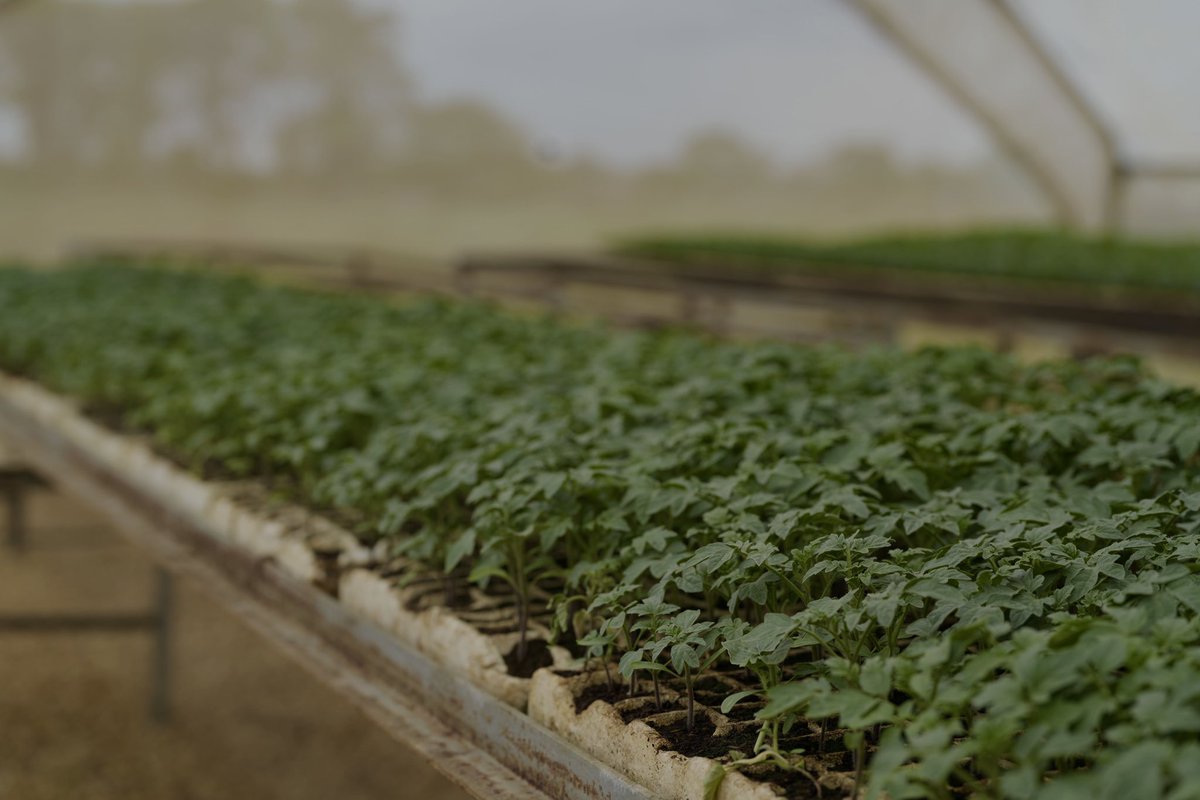UNDPZambia's tweet photo. Ideas aren’t the problem, access is. 

The Supplier Development Programme is unlocking markets for Zambia’s MSMEs by strengthening value chains, supporting local content &amp; creating demand driven, private sector–led growth. 

Read more here https://t.co/m2JcEWCZz8 https://t.co/CYvbXBYOcv