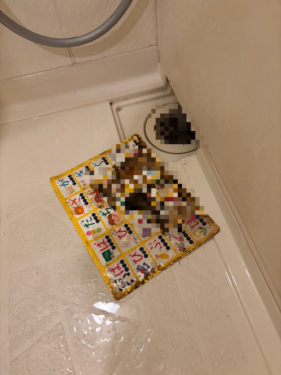 恐怖…さっきお風呂あがって排水溝を掃除しようとしたら、隙間からこんなの出てきた😭
以前からたまに変なカスが出てくるなーとは思ってたけど😭
ここに住んで2年以上経つのに😭