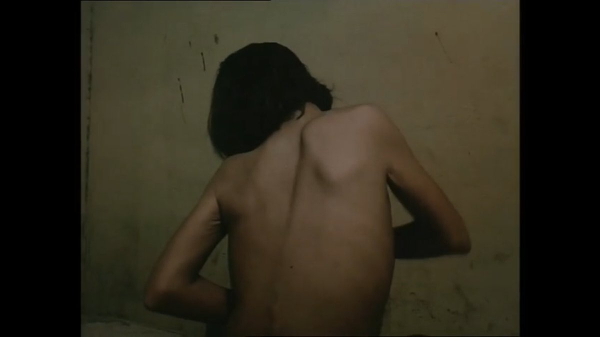 Malejoie tweet media