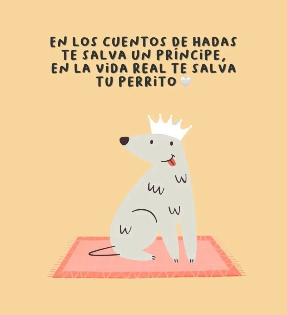 💖💖💖💖
Buenos días 😚