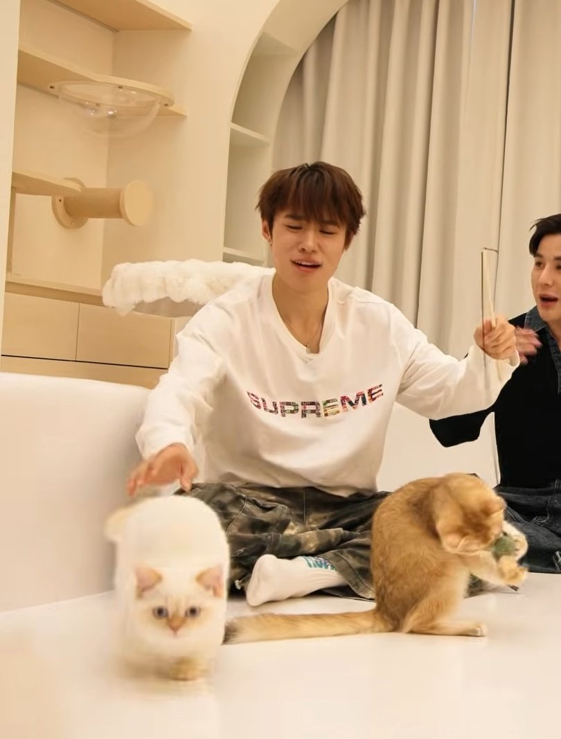 lykn3st's tweet image. IM CRYING 😭😭😭😭
#nnutdan #LYKN #ARMSHAREEP197