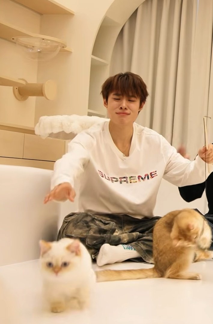 lykn3st's tweet image. IM CRYING 😭😭😭😭
#nnutdan #LYKN #ARMSHAREEP197