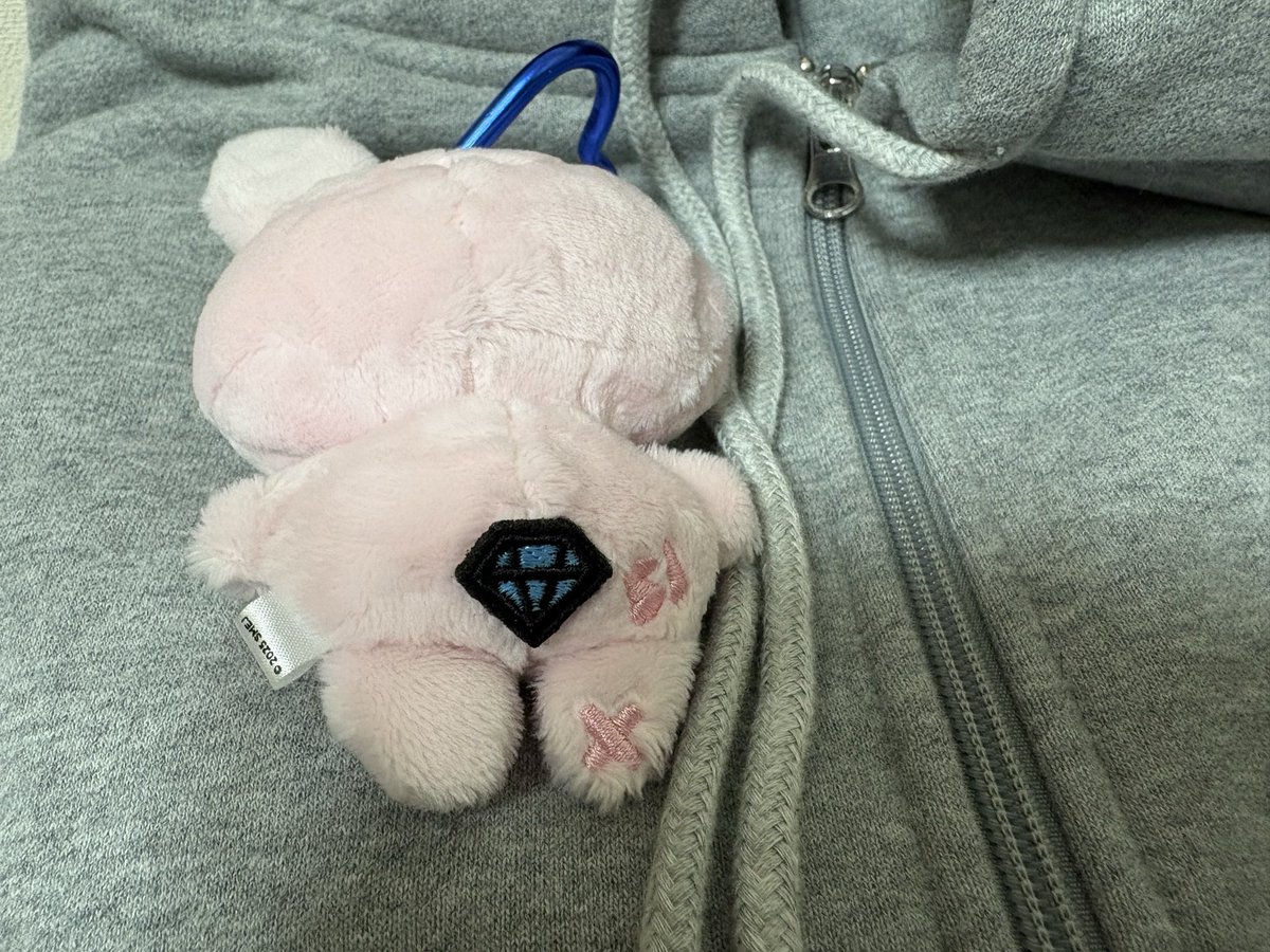 『SUPER JUNIOR 20th Anniversary TOUR
<SUPER SHOW 10> in JAPAN』

グッズ再販やっと届いた！
これで来月ベルーナ来ていけるよ

パーカーMにしたのに異様に袖が長い😂
ヒョクちゃんぬいキー再販で買えてよかった😭おちりが宝石美男💎になってる〜
かわいい💙

#SUPERJUNIOR 
#supershow10