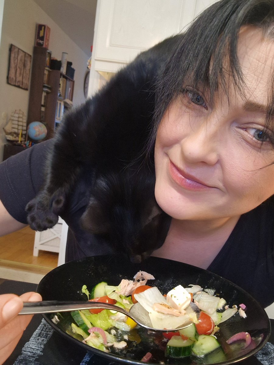 aiti_maa's tweet photo. Rakastan tätä ääliötä.
Meillä on Millin kanssa tänään LOHISALAATTIA!
#kissax #dieetti https://t.co/ec8KoFxxtC