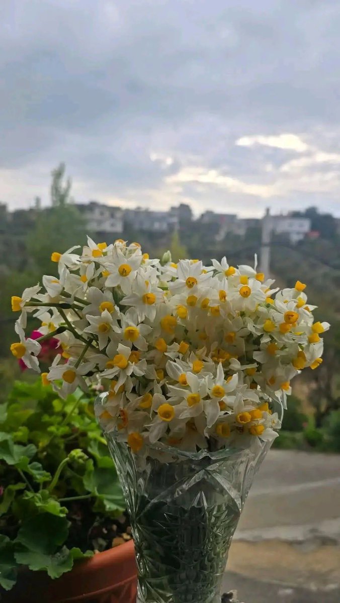 السلام عليكم ورحمة الله وبركاته 

مساء الخير والامطار ☔️⛈️

5 c