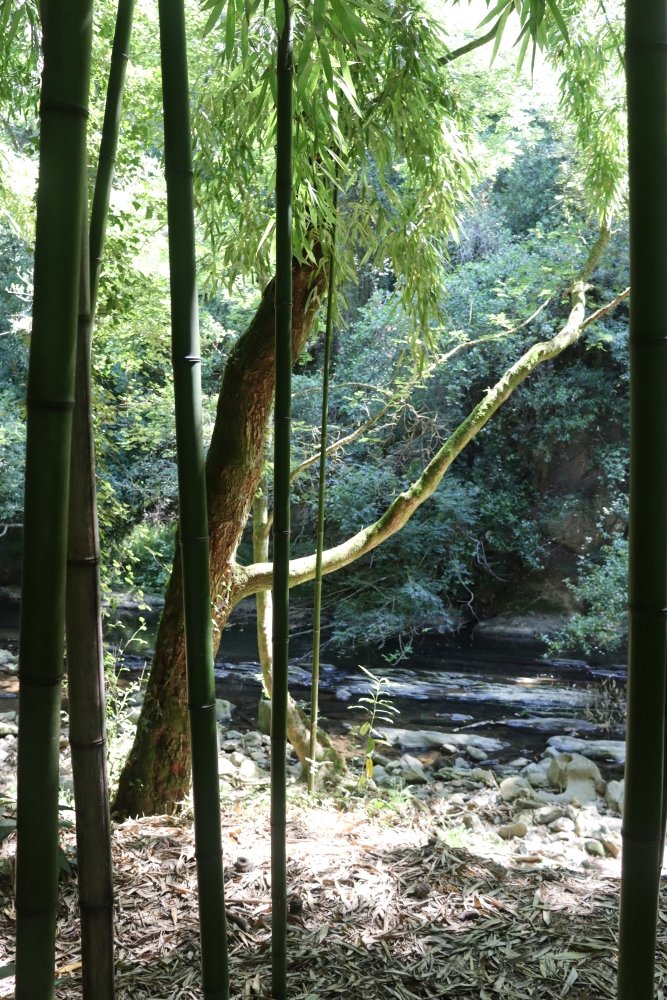 El Pobaleko Burdinola / Ferrería de El Pobal tweet media