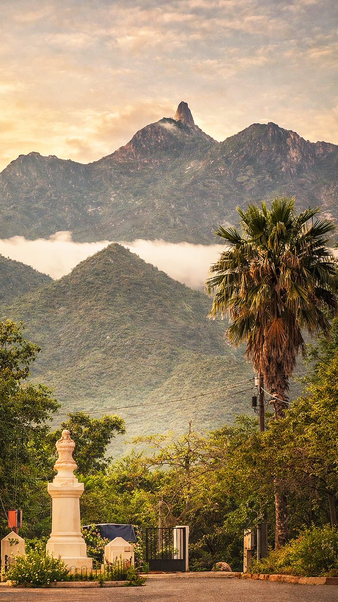 Jolerio's tweet photo. Buenos días 
Saludos desde la república hermana  de Miraflores, Los Cabos.
Cuna de la mejor #machaca de res del mundo mundial. #LosCabos https://t.co/9T9rE4l0TL