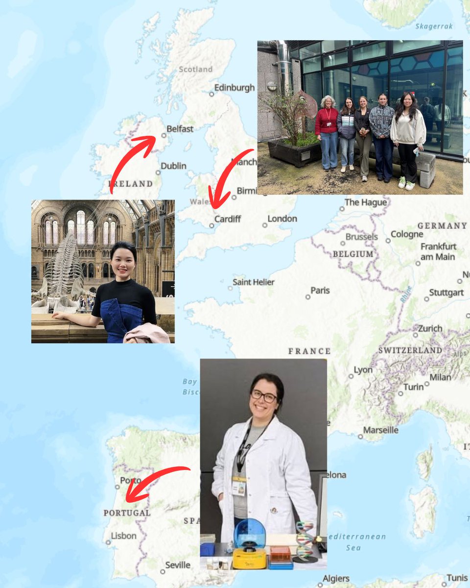 Otter Project tweet media