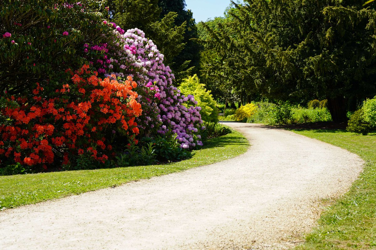 ushawdurham's tweet image. Some bright images to cheer you up during these gloomy February days 🫶

#Gardens #Garden #Spring #Winter