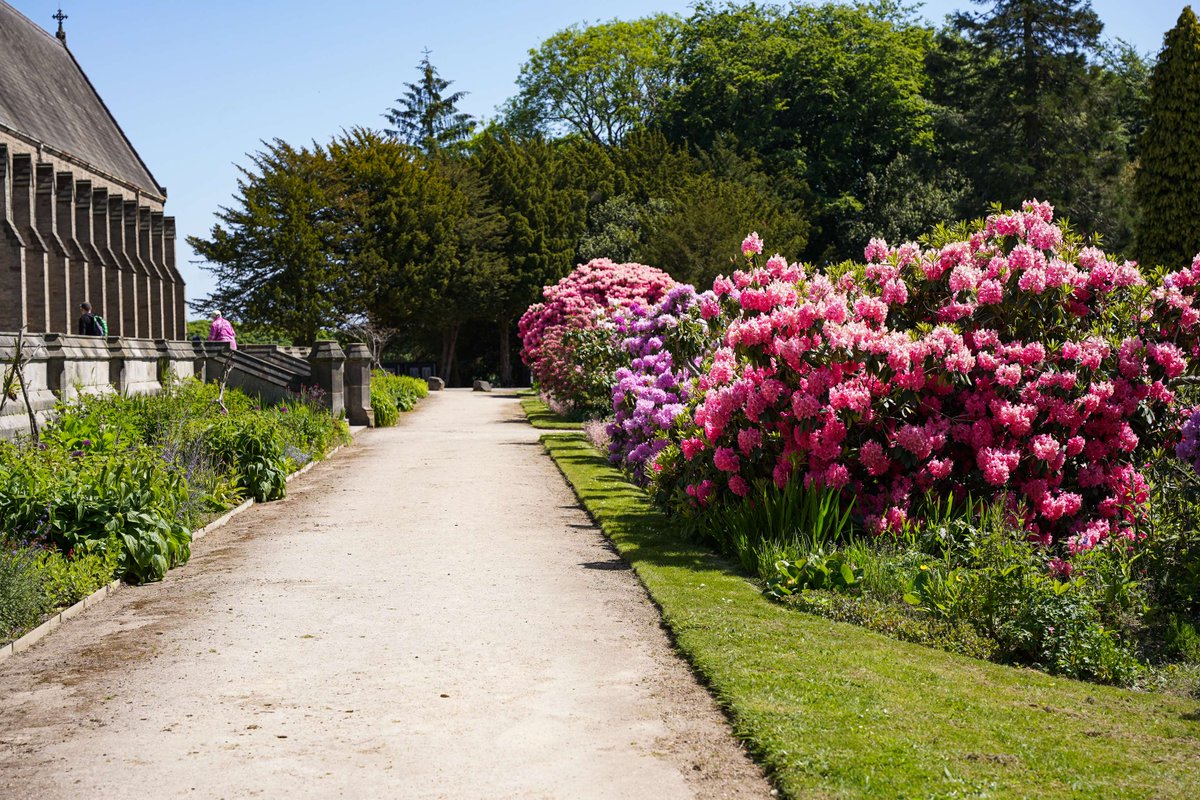 ushawdurham's tweet image. Some bright images to cheer you up during these gloomy February days 🫶

#Gardens #Garden #Spring #Winter