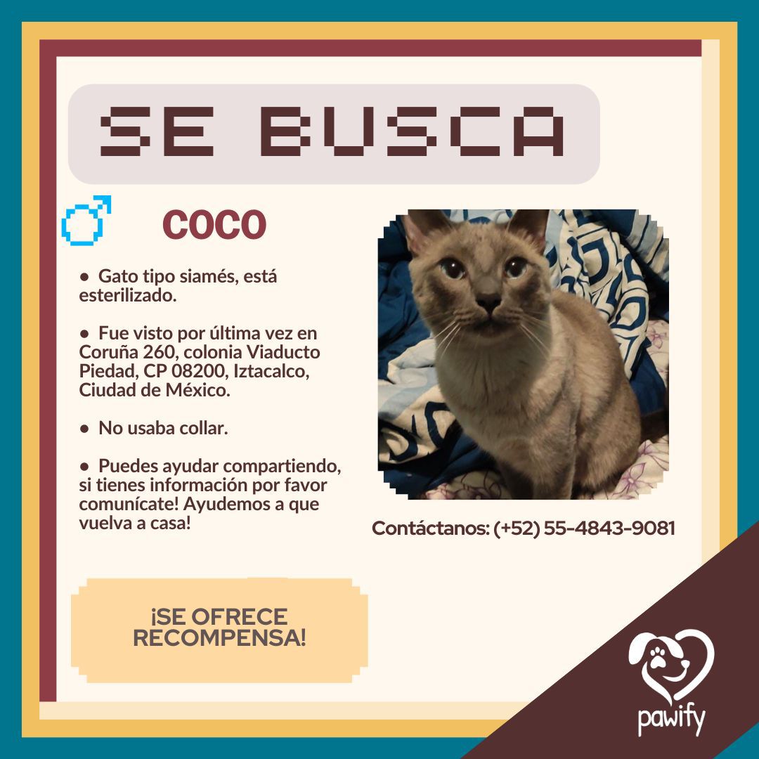 StellariLothwen's tweet image. ¿Me ayudan compartiendo? 

Seguimos buscando a Coco 😔