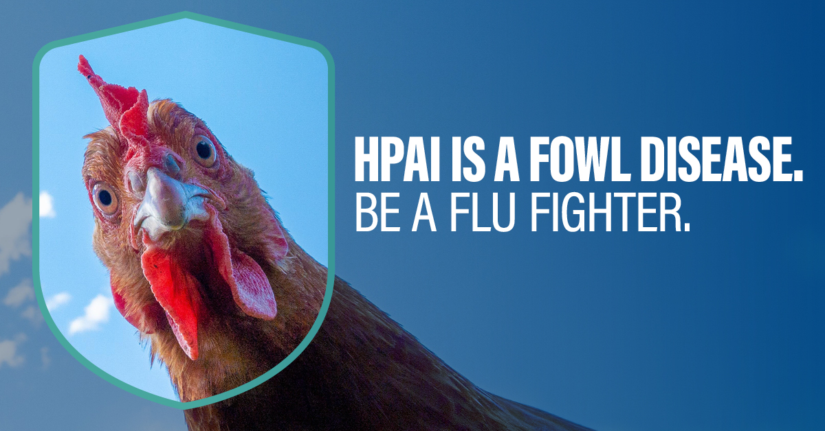 Defend the Flock tweet media