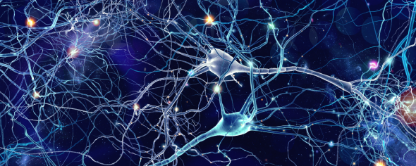 CD_AACR's tweet photo. Sensory Neurons Drive a Fibrotic Immune Microenvironment in Breast Cancer:
A #ResearchWatch summary of a recent study by Si-Wei Zhang, Han Wang, Yi Xiao, Luo-Tian Liu, Jinfei Ni, Zhi-Ming Shao, Yi-Zhou Jiang and colleagues.
https://t.co/JYunkpNd57 https://t.co/3kbU1rPoE6