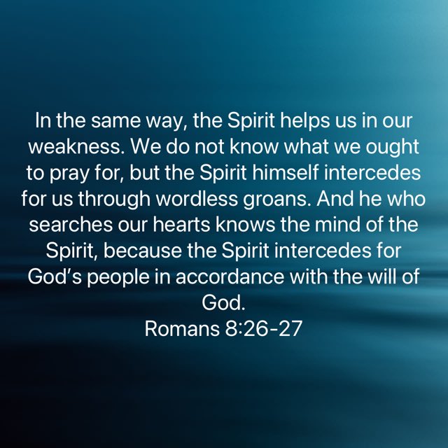 Shannon Shelley-Coleman tweet media