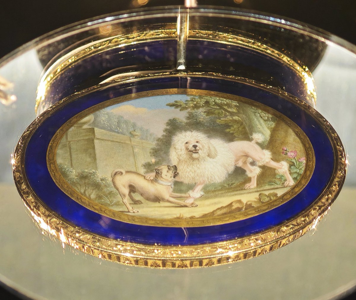 Frédéric Costes tweet media