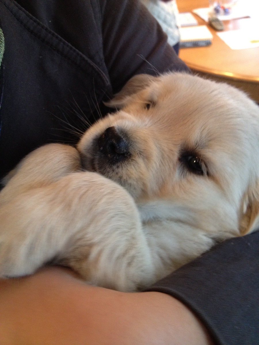 🥺🫳🏻🫳🏻🫳🏻✨