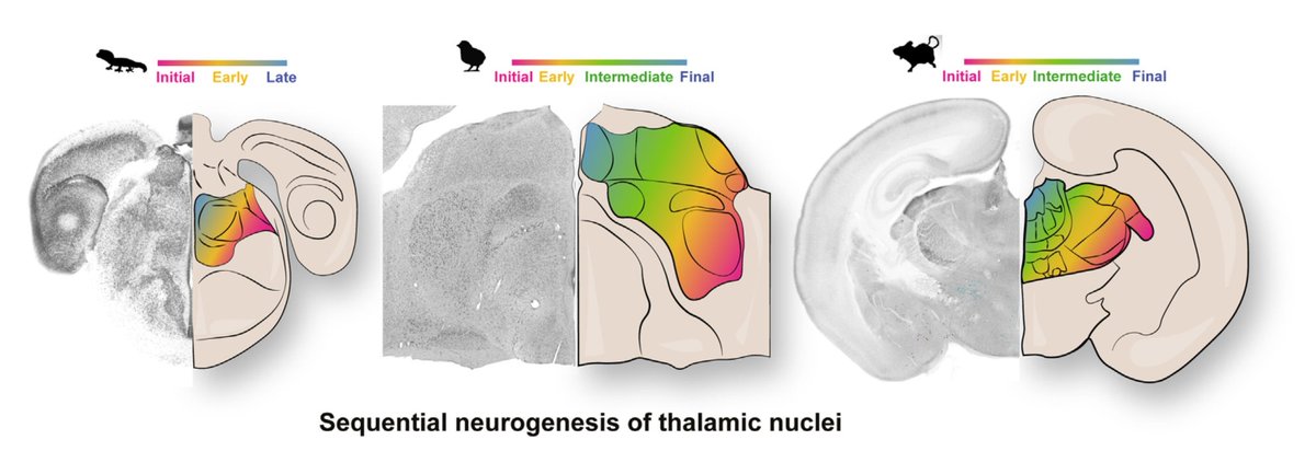 Fernando García-Moreno tweet media