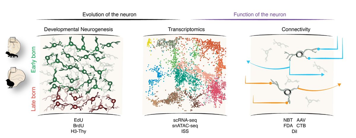 Fernando García-Moreno tweet media