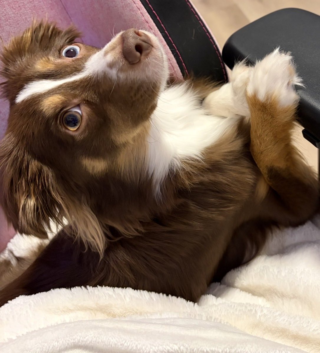 Courtney tweet media