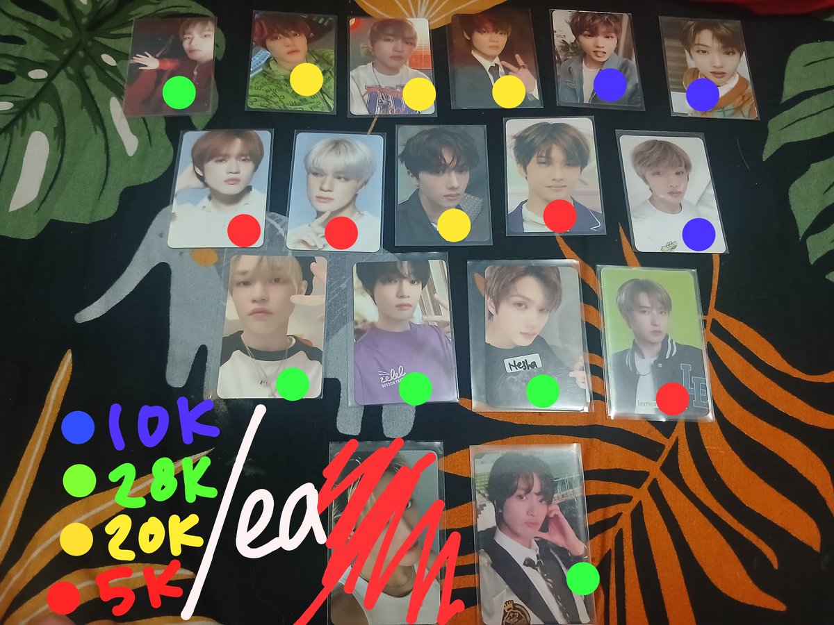 Echa 🧸 || mt after dm plss tweet media