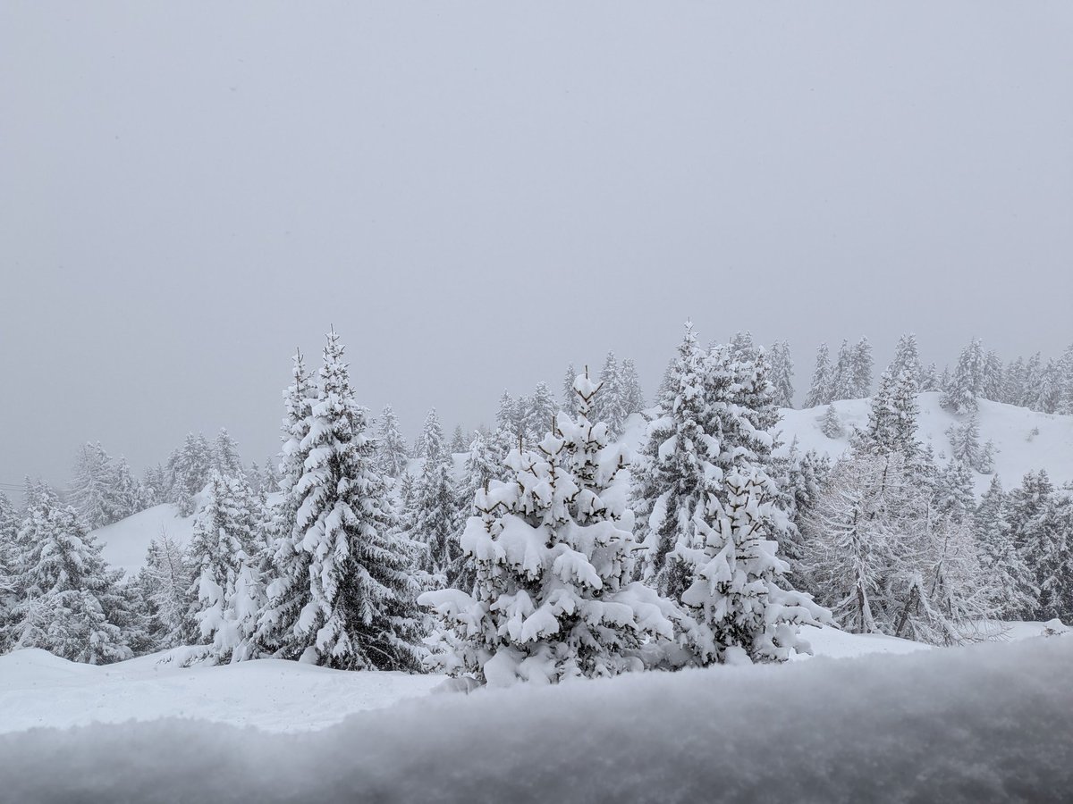 Joel Weibel tweet media