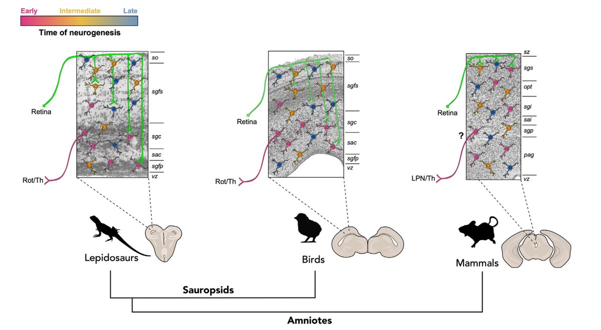 Fernando García-Moreno tweet media