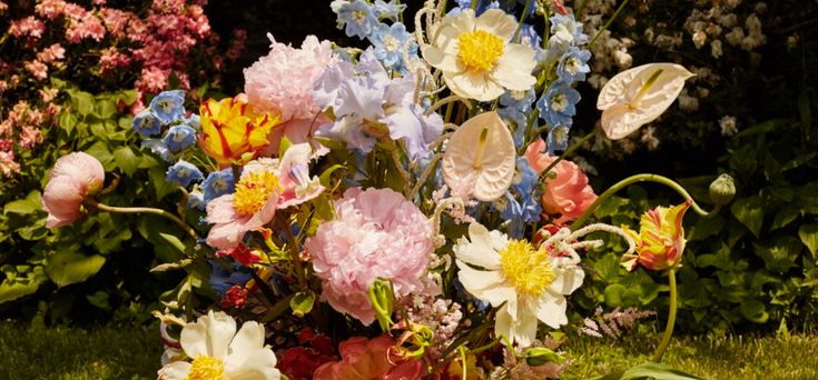 naturaholic's tweet image. spring core 🌸