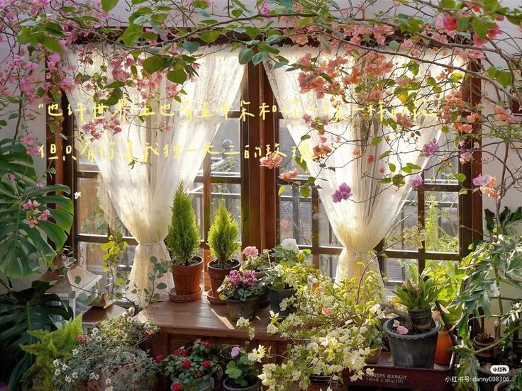 naturaholic's tweet image. spring core 🌸