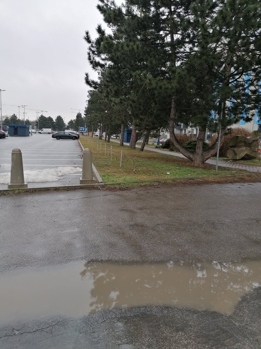 Hello everyone 👋!
It's raining today... ☔I don't like rain, but I know it's necessary for nature. However, I have a question. It's winter now. How can we explain to any child what season it is?🤔