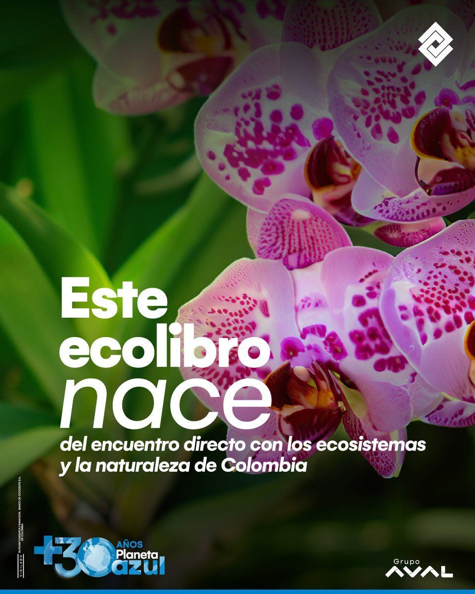 ComunidadPlanetaAzul BdeO tweet media