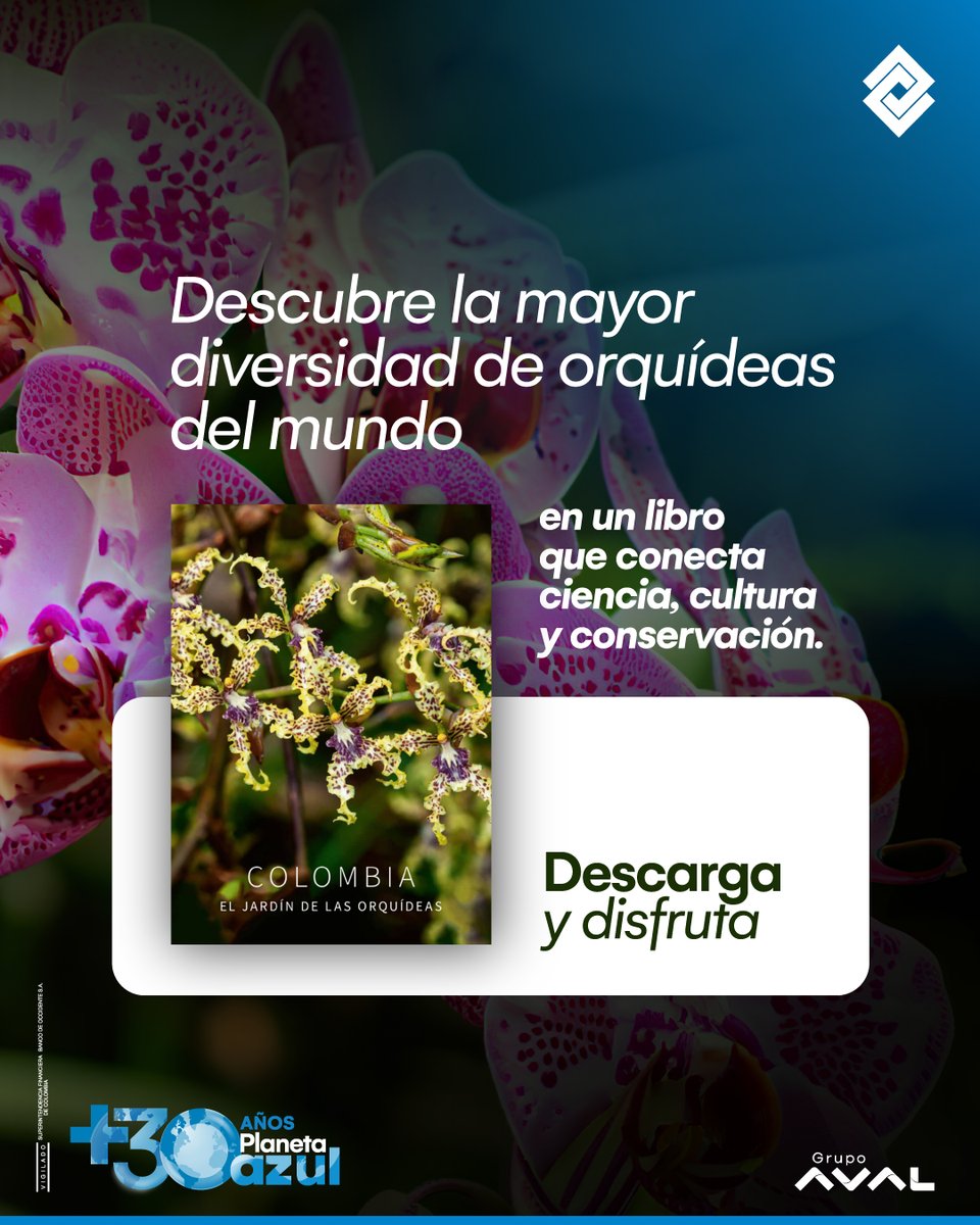 ComunidadPlanetaAzul BdeO tweet media