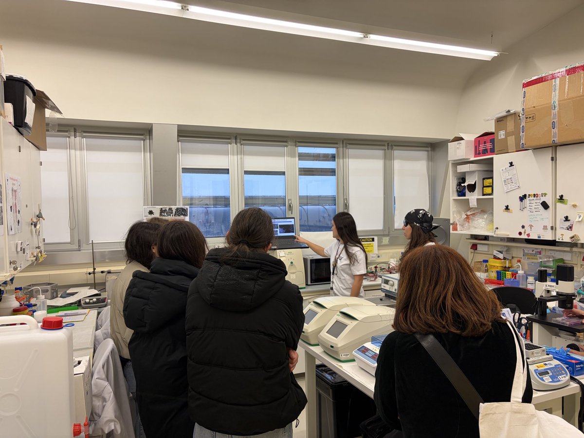 Functional NanoBioMaterials Group tweet media