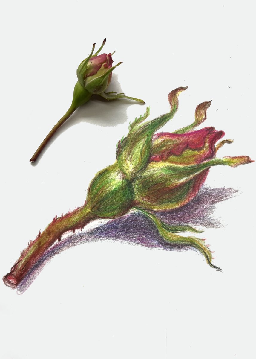 The Guild for Life Long Learning tweet media