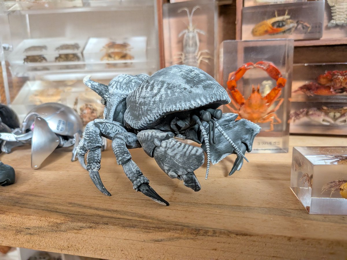 リク（甲殻標本） (@Ny80op2MxkEIbK5) / Posts / X