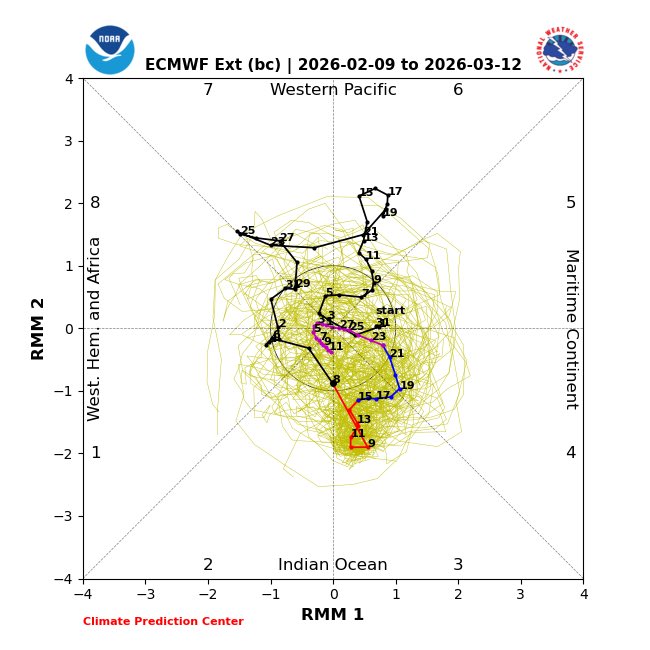 StormTrackerSacher tweet media