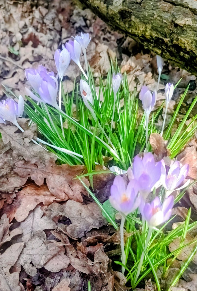 Mark Barden 🇪🇺 tweet media