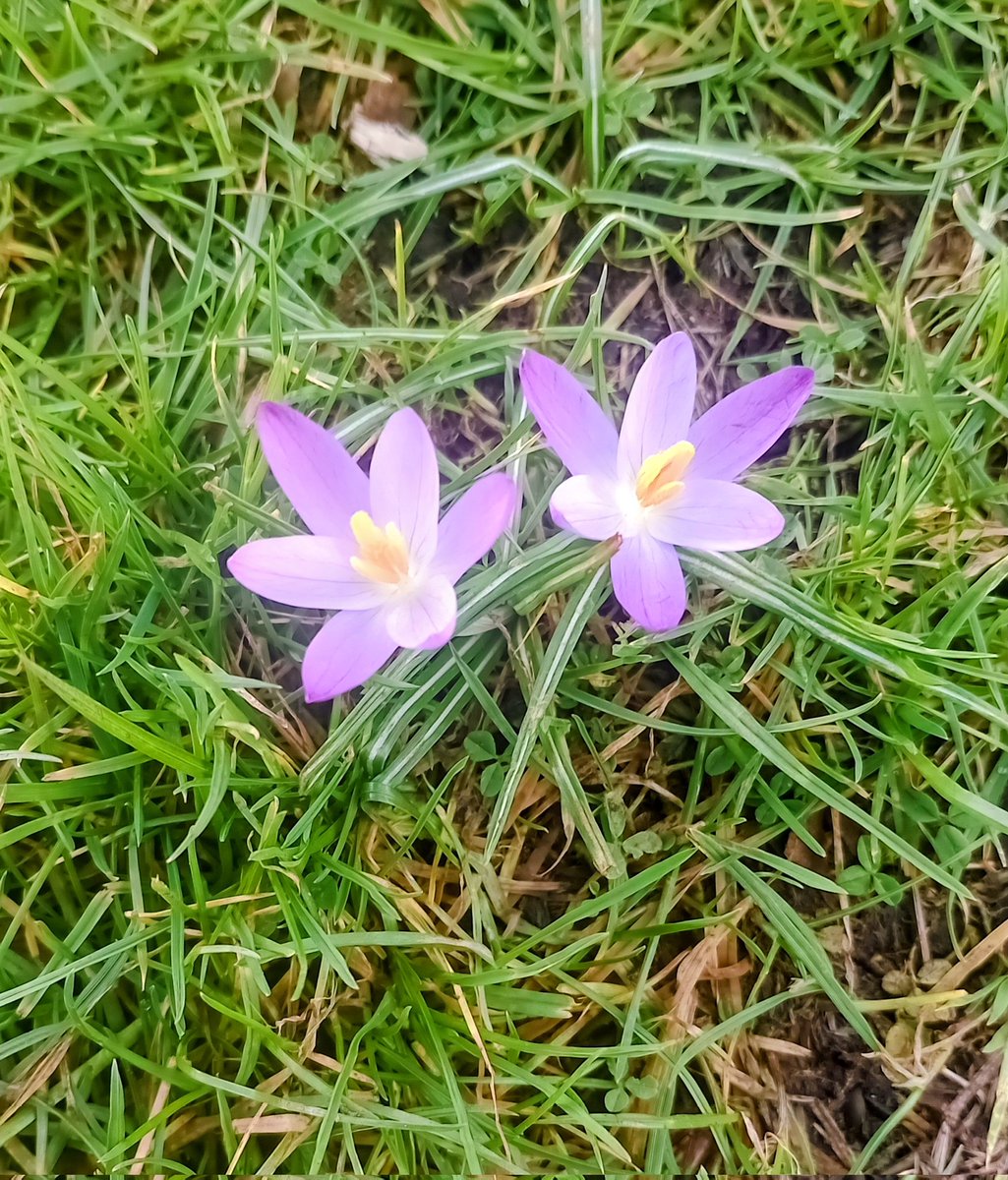 Mark Barden 🇪🇺 tweet media