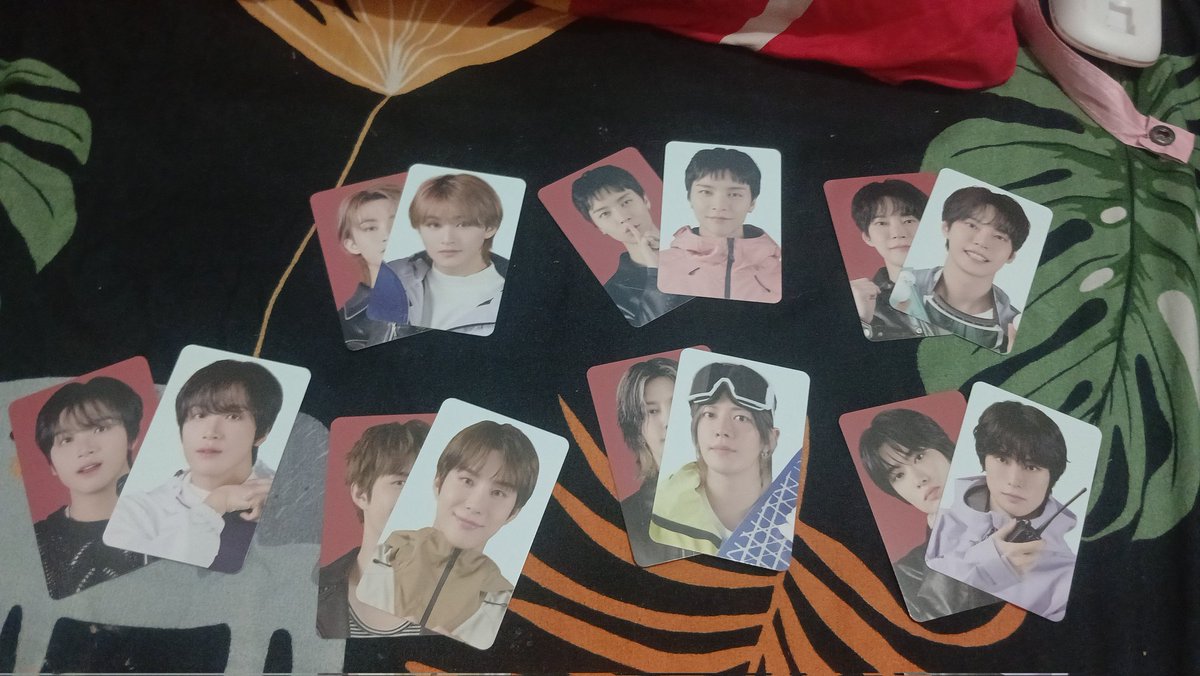 Echa 🧸 || mt after dm plss tweet media