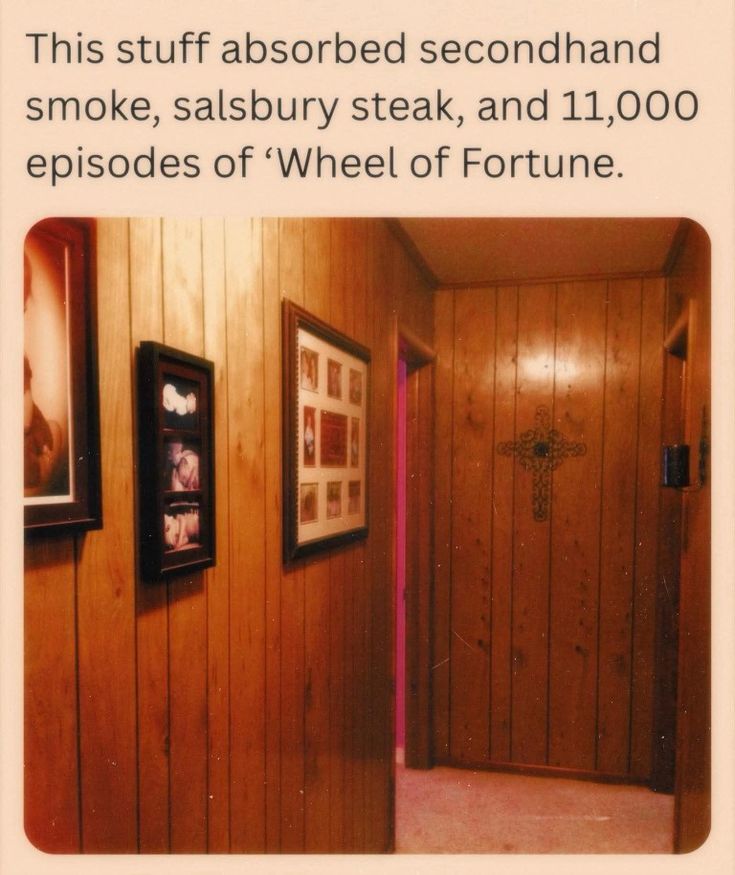 Aggie The Barbabe tweet media