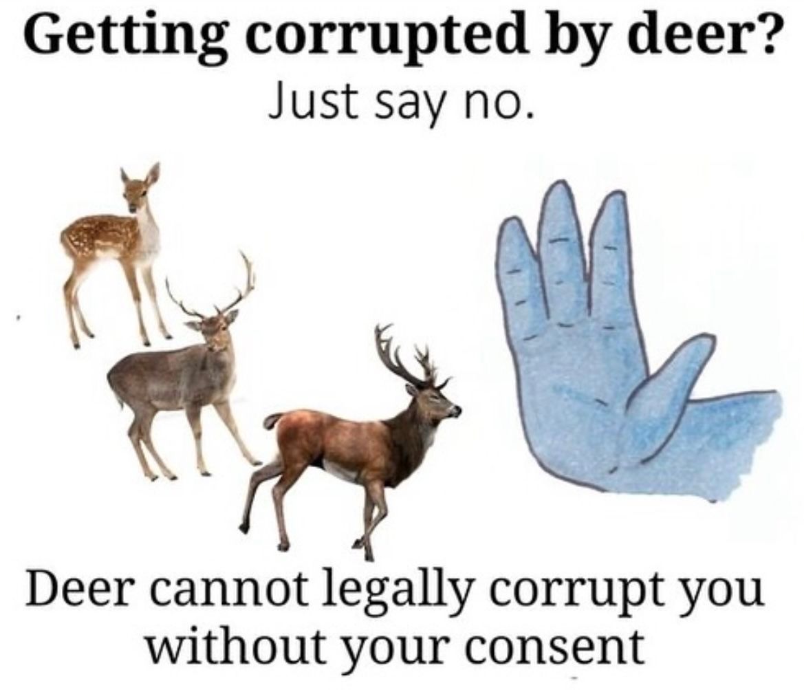 horse dentist tweet media