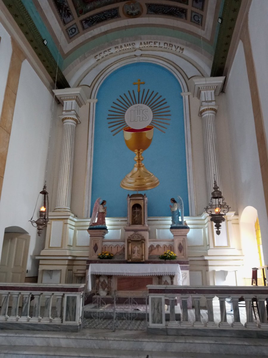 Fernanda Tanaka tweet media