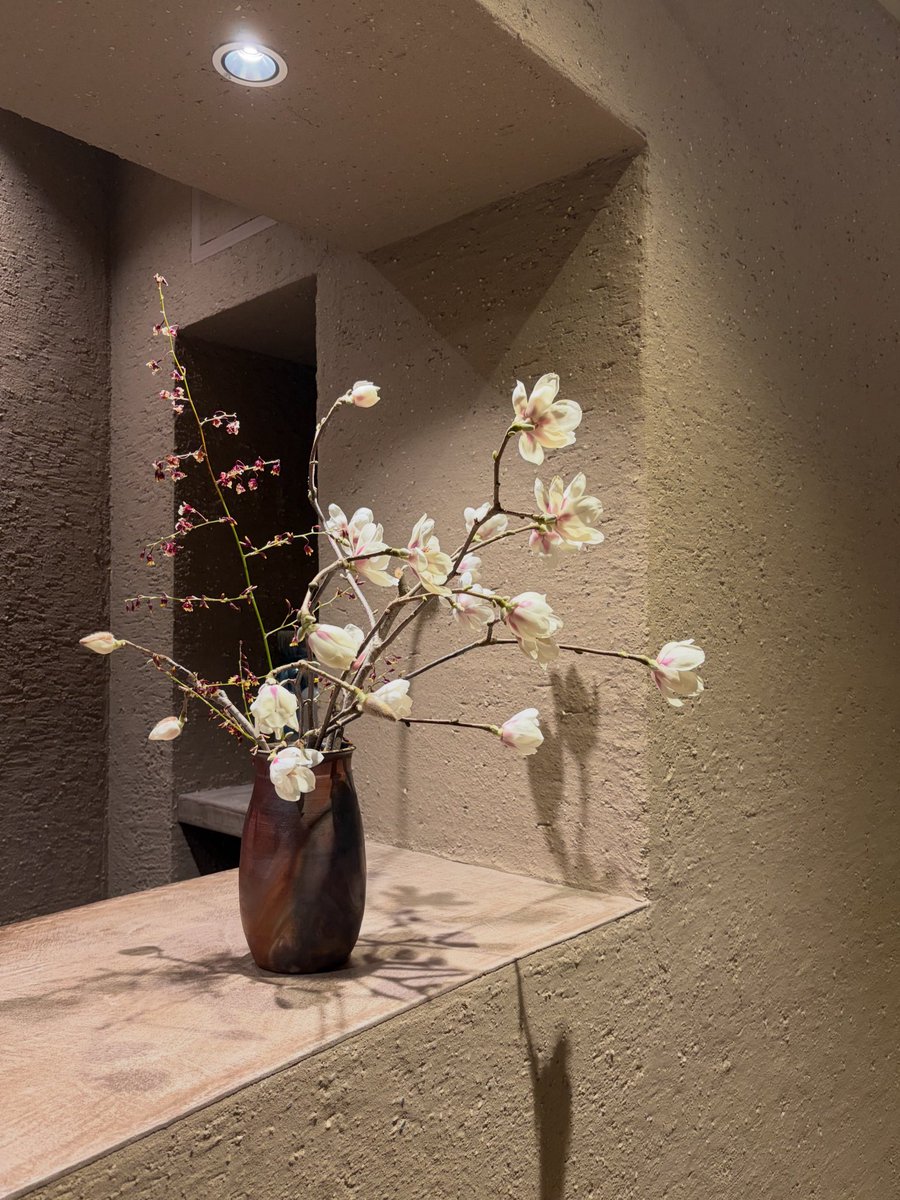 sleepynuts_'s tweet photo. こんなところに小さな春があって嬉しい🤍 https://t.co/uEF3ZS4WfW
