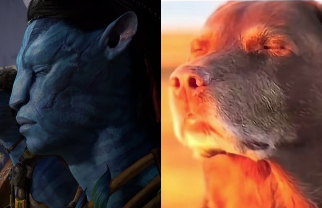 som 🪷 tweet media