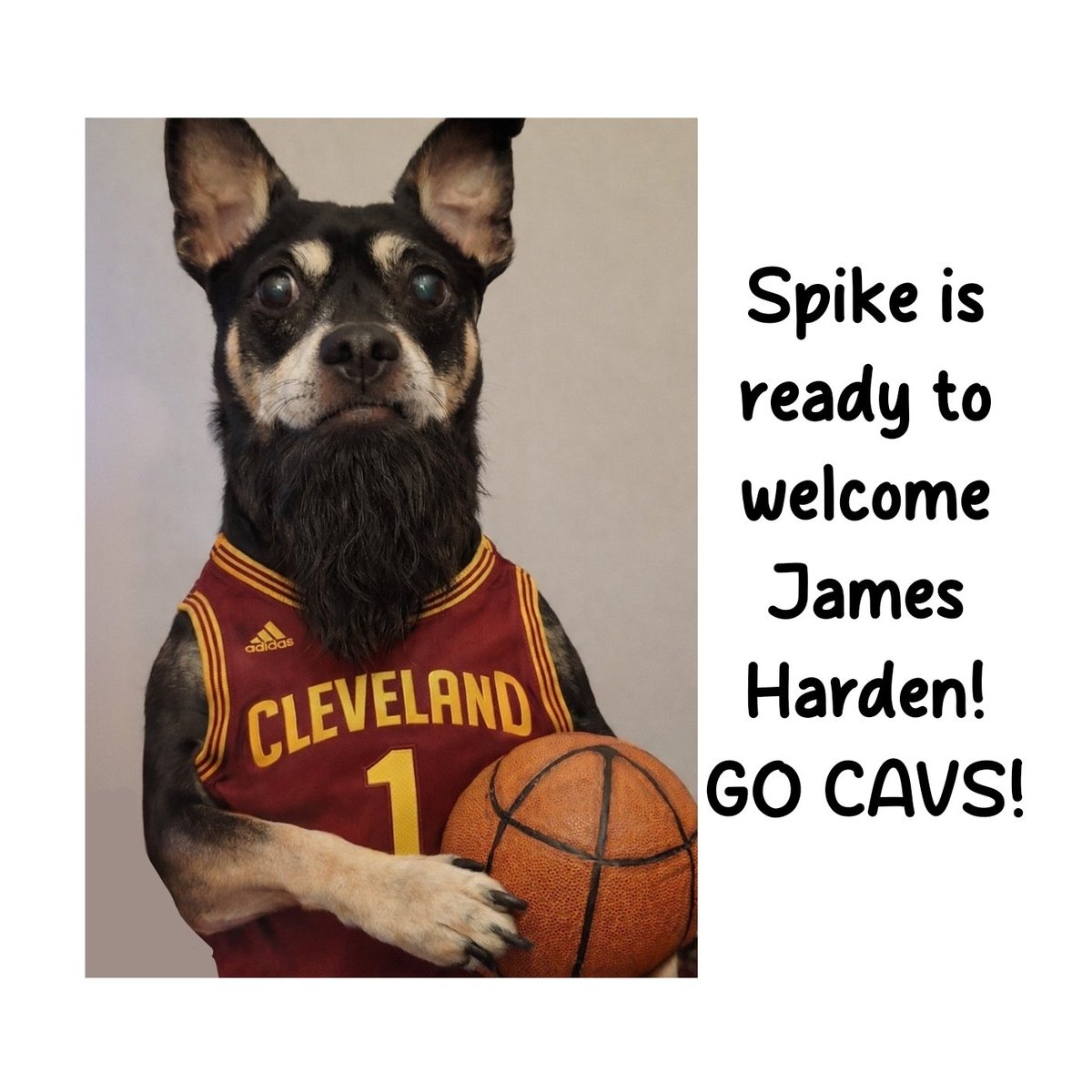 Sandy Brunswick tweet media