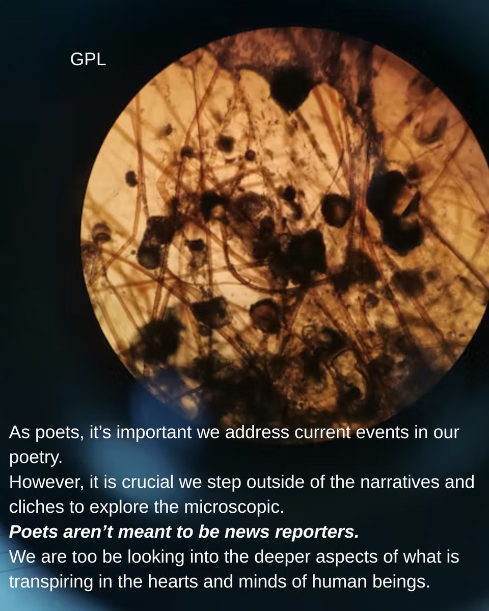 gutpunchliterary (@gutpunchlit) on Twitter photo 