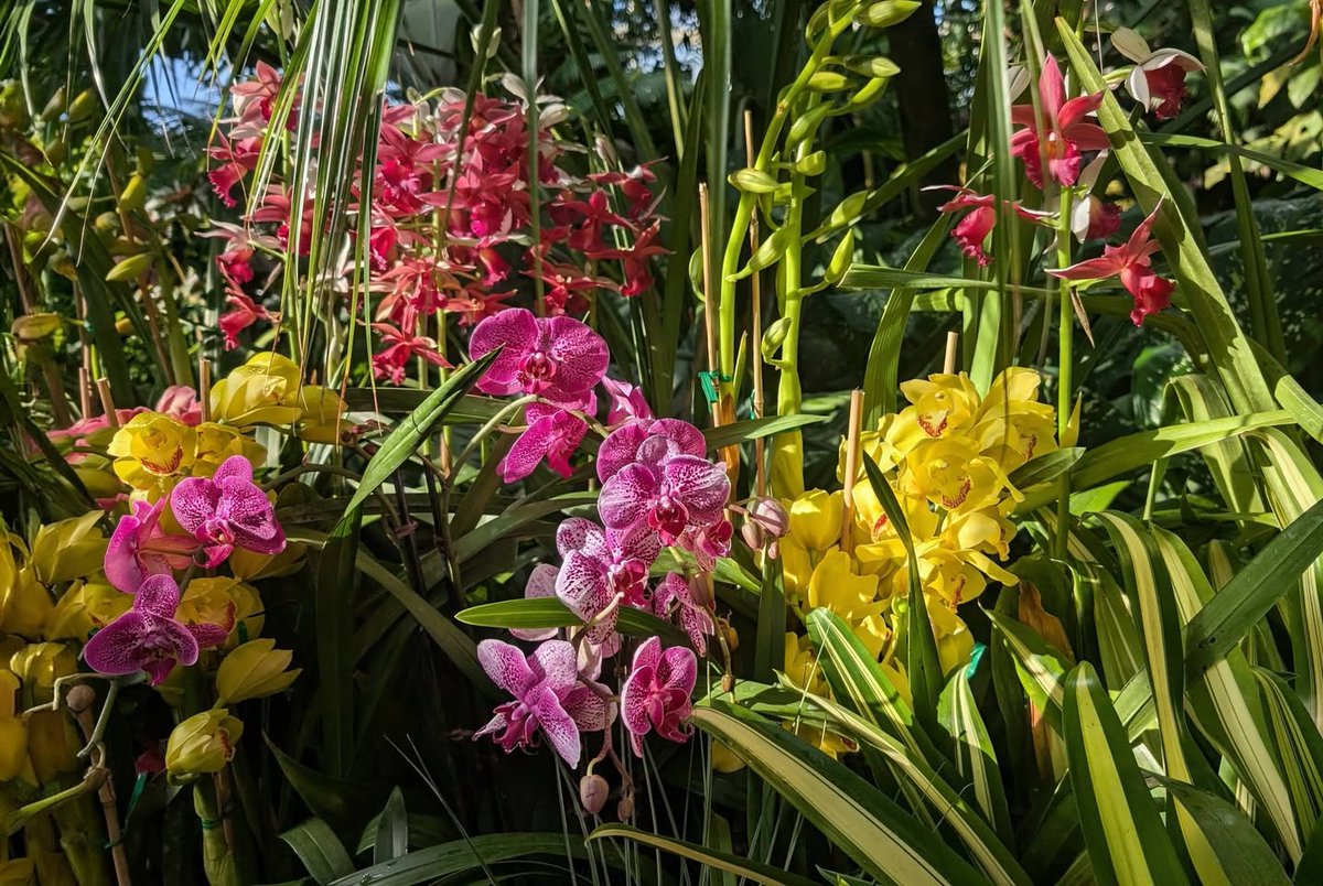 mireya starkenberg tweet media