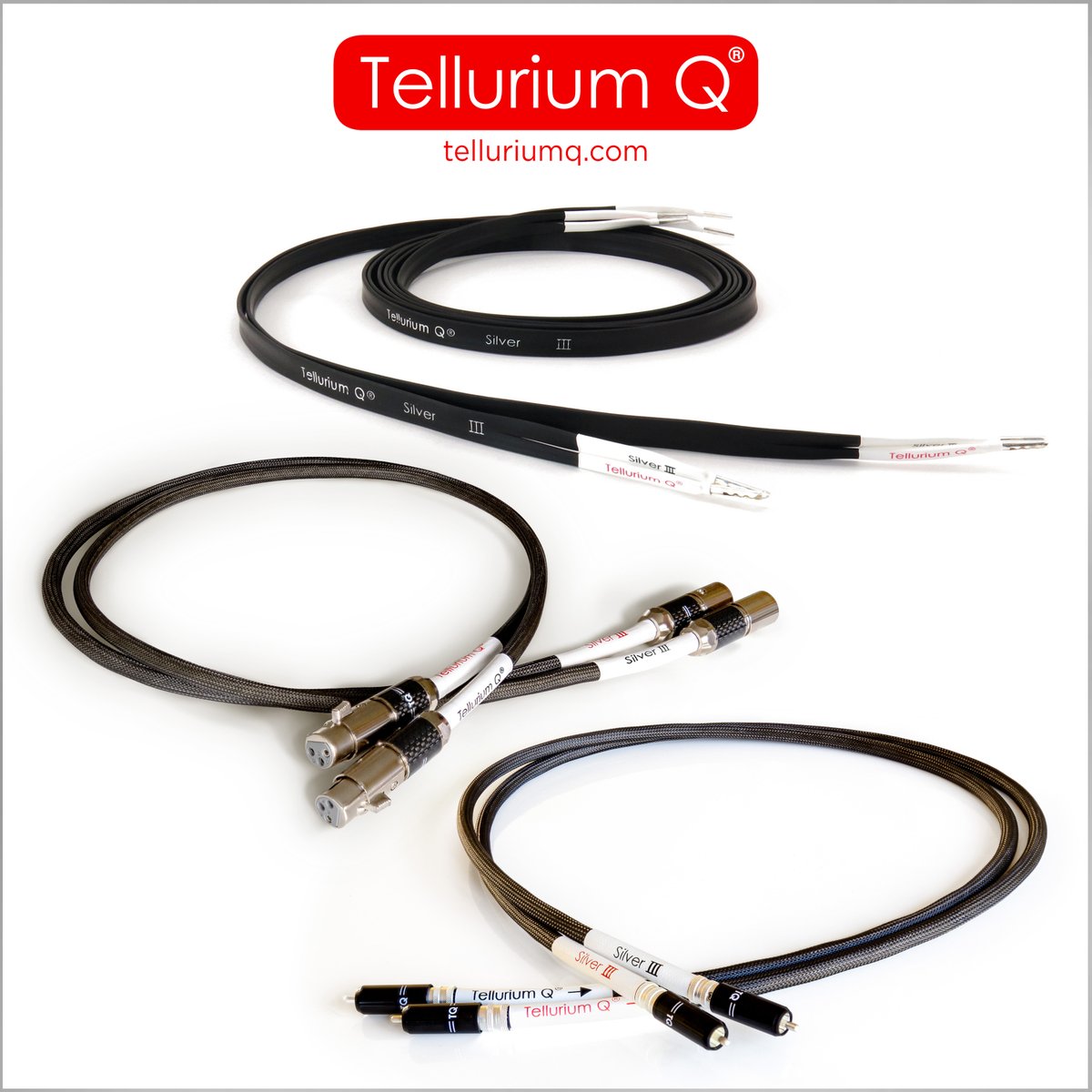 Tellurium Q tweet media