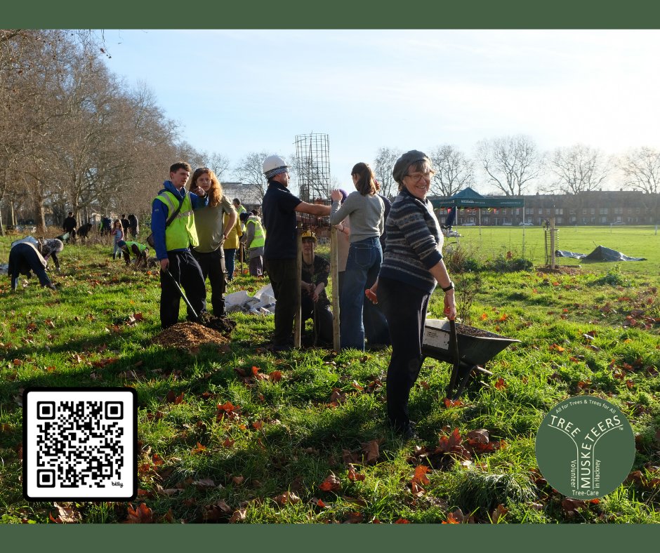 Tree Musketeers tweet media