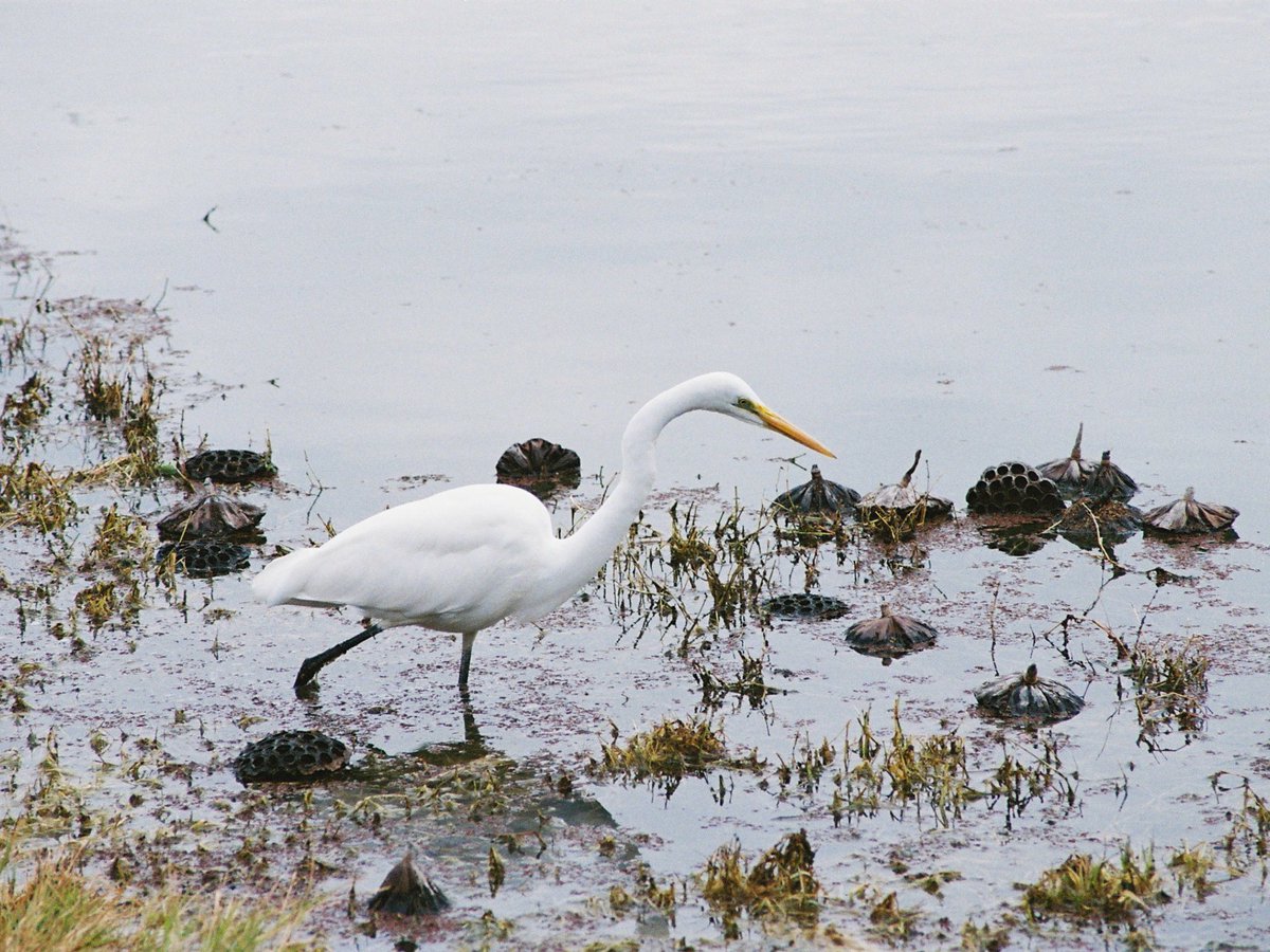 世界や、世の中が、壊れかかっている、
あるいは、壊れているのは事実としても、
壊れてるから世直ししよう、なんて叫ぶのは、
自分の欲求をぶつけて鬱憤を晴らそうとしてるだけ。
壊れているのを受け入れた上で、
それでも、どう今を生きるか、だけ。